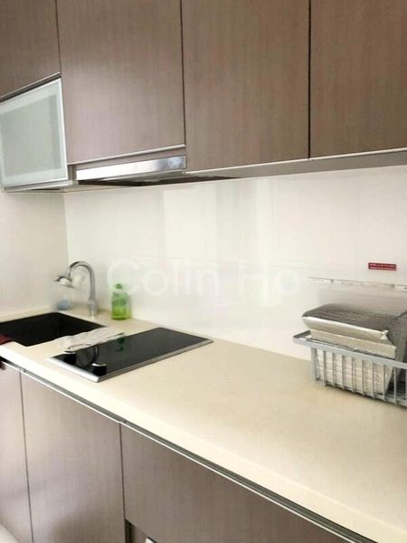 2 Bed Condo for Rent in  Mount Sophia Suites - Image 5